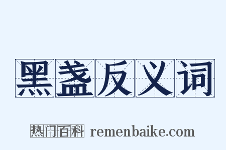 黑盏反义词是什么意思的图片